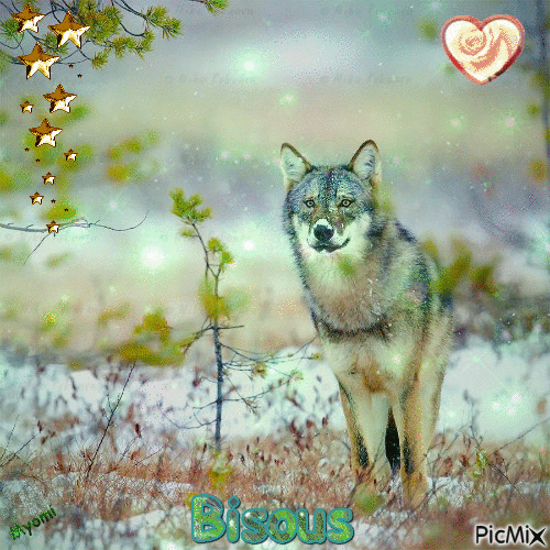 bisous loup 