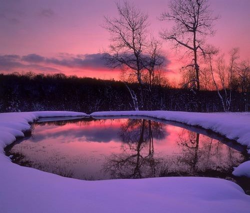 paysage hiver