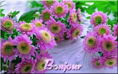 BONJOUR FLEURS